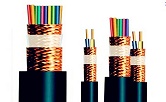 铜芯交联聚乙烯绝缘铜丝编织屏蔽分屏总屏聚乙烯护套B类阻燃计算机电缆